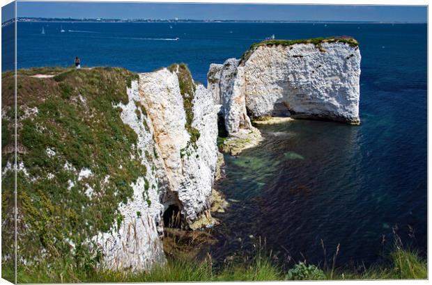 Old Harry Rocks Canvas Print by Geoff Storey