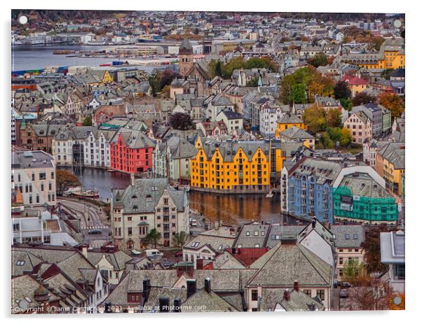 Colourful Alesund Rooftops Acrylic by Janet Carmichael
