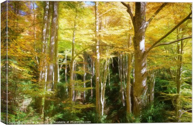 Majestic Beech Forest in Autumn - C1510-3374-PIN-R Canvas Print by Jordi Carrio