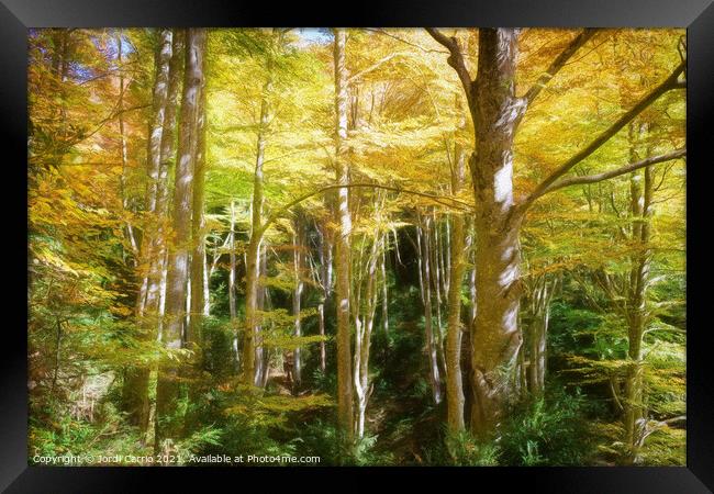 Majestic Beech Forest in Autumn - C1510-3374-PIN-R Framed Print by Jordi Carrio