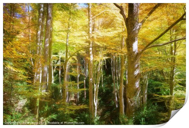 Majestic Beech Forest in Autumn - C1510-3374-PIN-R Print by Jordi Carrio