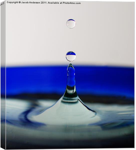 Blue Drip Canvas Print by Jacob Andersen