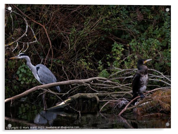 Heron and Cormorant. A Working Relationship. Acrylic by Mark Ward