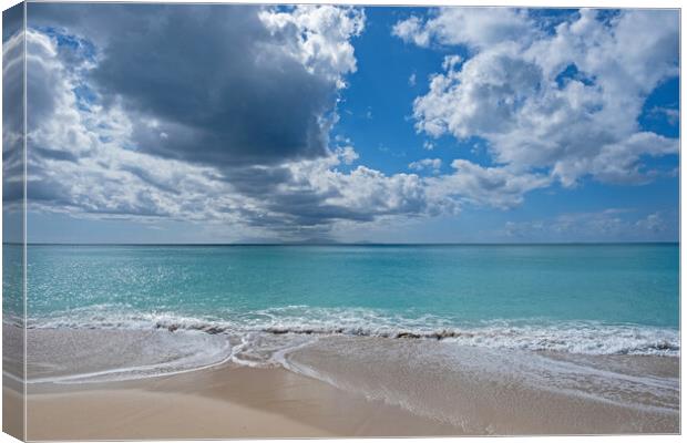 Caribbean Sea Canvas Print by Arterra 