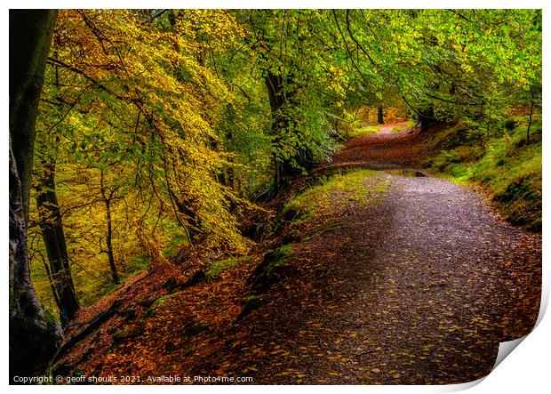 Autumn in the Goyt Valley, Derbyshire Print by geoff shoults