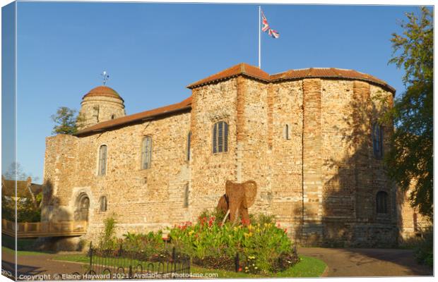 Colchester Castle in autumn Canvas Print by Elaine Hayward