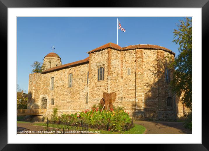 Colchester Castle in autumn Framed Mounted Print by Elaine Hayward