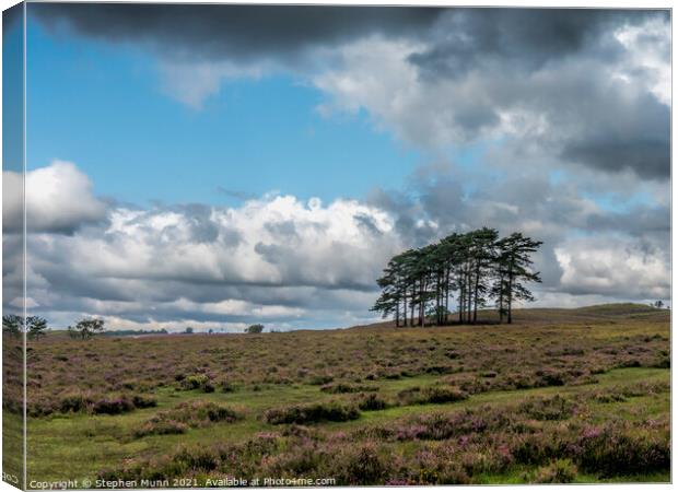 Woodford Bottom, New Forest National Park Canvas Print by Stephen Munn