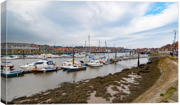 Boats in Whitby Marina Canvas Print by Chris Yaxley