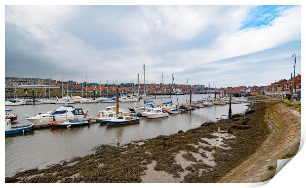 Boats in Whitby Marina Print by Chris Yaxley