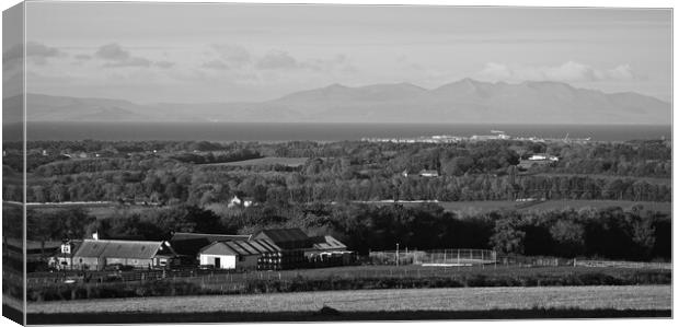 A country pad mono Canvas Print by Allan Durward Photography