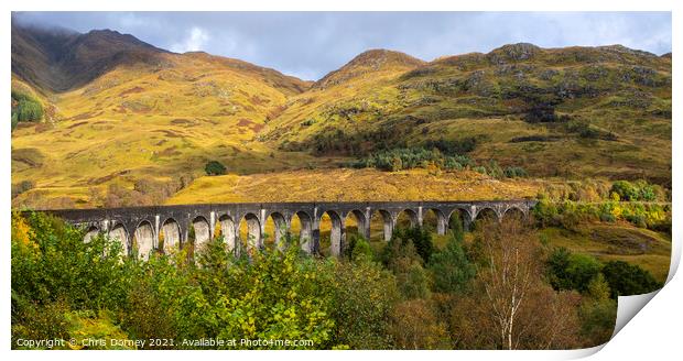 Glenfinnan Viaduct in the Scottish Highlands, UK Print by Chris Dorney