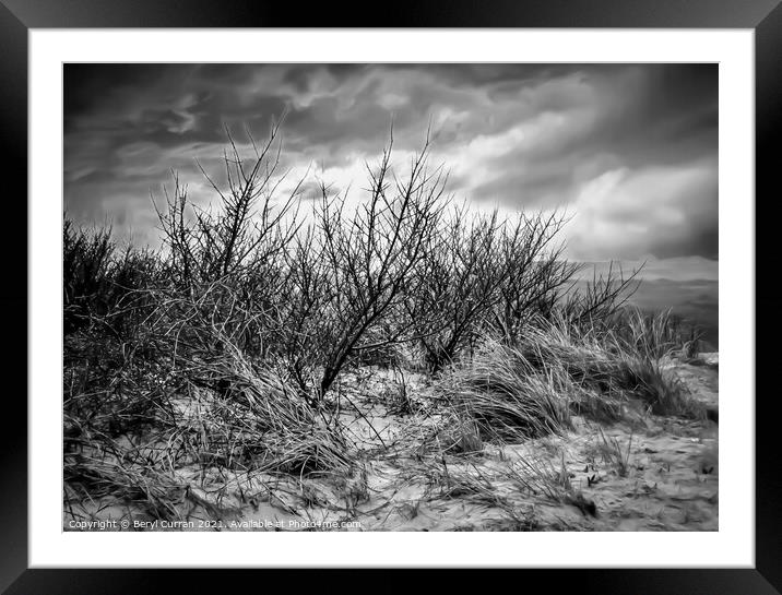 Majestic winter dunes in Cornwall Framed Mounted Print by Beryl Curran