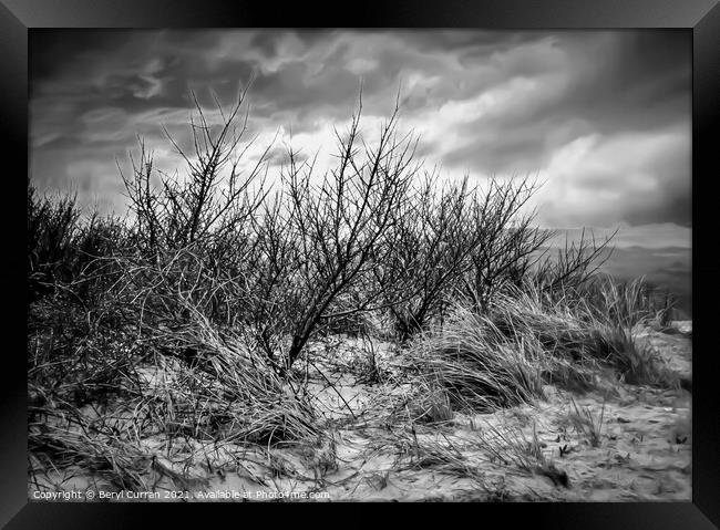 Majestic winter dunes in Cornwall Framed Print by Beryl Curran