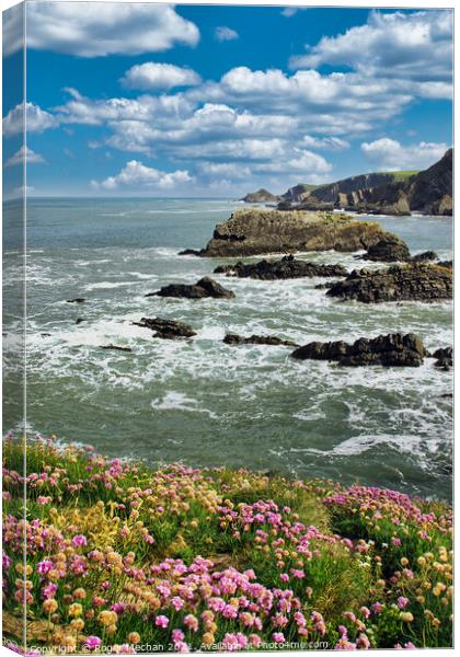 Thrift Blooms at Hartland Point Canvas Print by Roger Mechan