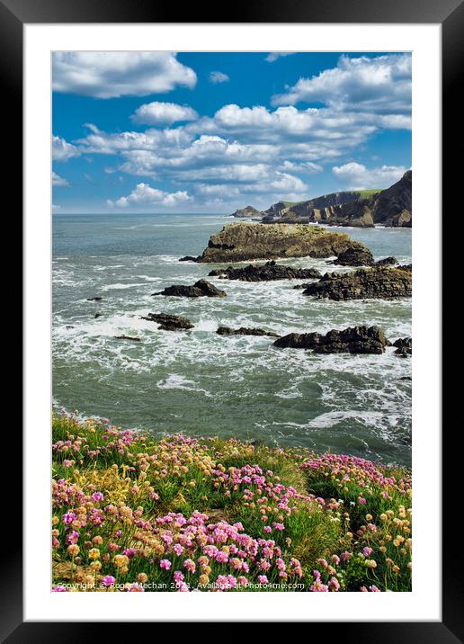 Thrift Blooms at Hartland Point Framed Mounted Print by Roger Mechan