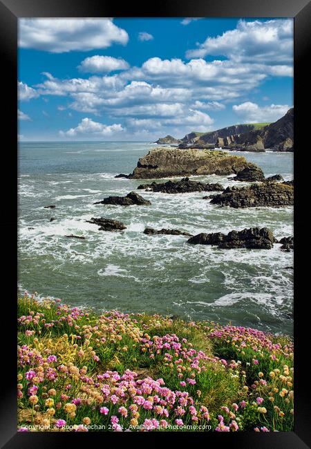 Thrift Blooms at Hartland Point Framed Print by Roger Mechan