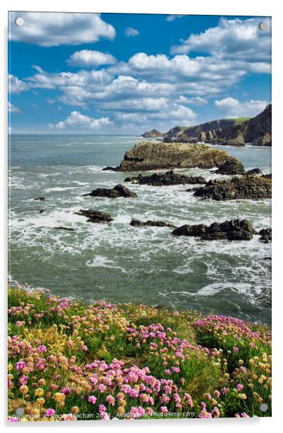 Thrift Blooms at Hartland Point Acrylic by Roger Mechan