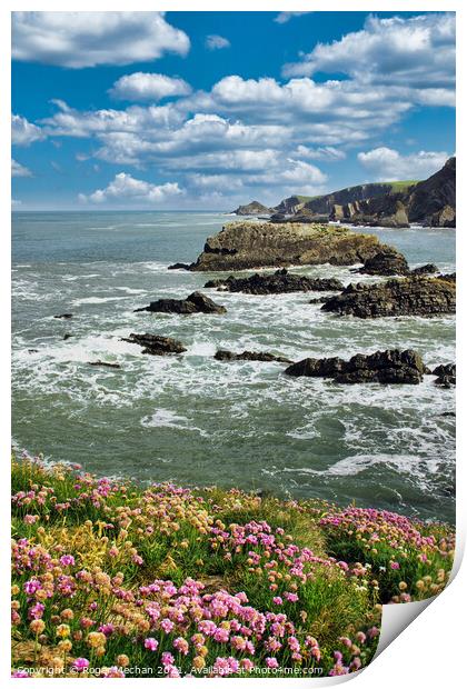 Thrift Blooms at Hartland Point Print by Roger Mechan