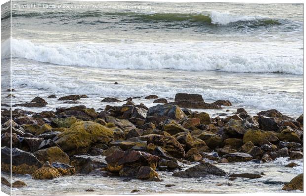 Sea waves breaking on the rocks Canvas Print by Lucas D'Souza