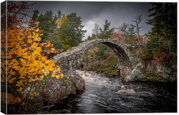 Old Bridge  Canvas Print by Alan Sinclair