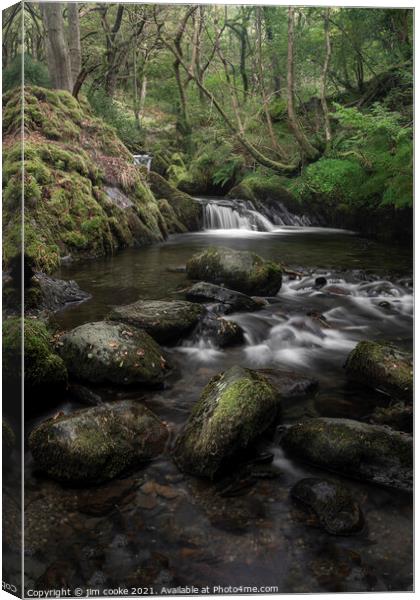 Cascade on the Dol-goch Trail Canvas Print by jim cooke