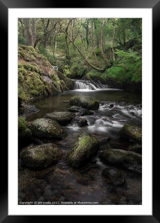 Cascade on the Dol-goch Trail Framed Mounted Print by jim cooke
