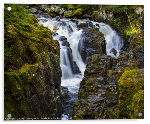 Black Linn Waterfall in the Hermitage Woodland, Scotland Acrylic by Chris Dorney