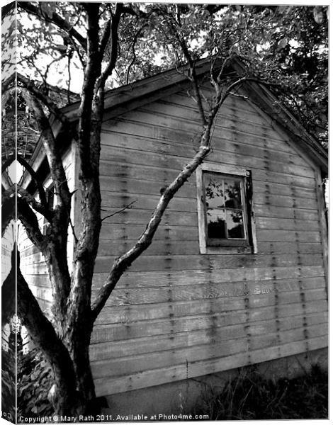 Shed Canvas Print by Mary Rath