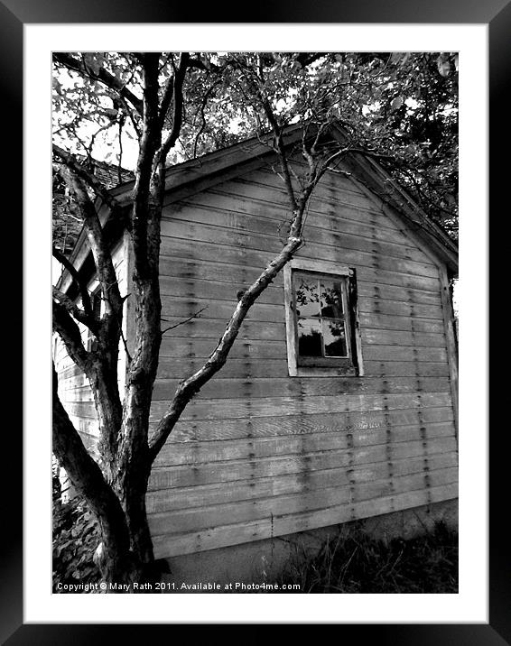 Shed Framed Mounted Print by Mary Rath