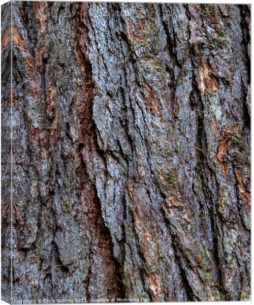 Tree Bark Close-up Canvas Print by Chris Dorney