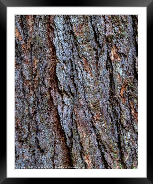 Tree Bark Close-up Framed Mounted Print by Chris Dorney