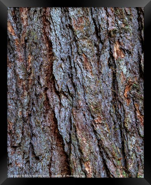 Tree Bark Close-up Framed Print by Chris Dorney