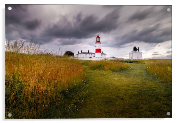 Souter Lighthouse, Tyne and Wear Acrylic by Mark Jones