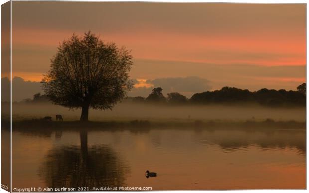 sunrise with mist with a tree and lake Canvas Print by Alan Burlinson