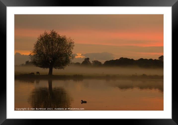 sunrise with mist with a tree and lake Framed Mounted Print by Alan Burlinson