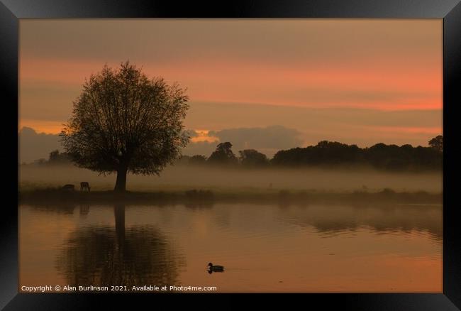 sunrise with mist with a tree and lake Framed Print by Alan Burlinson