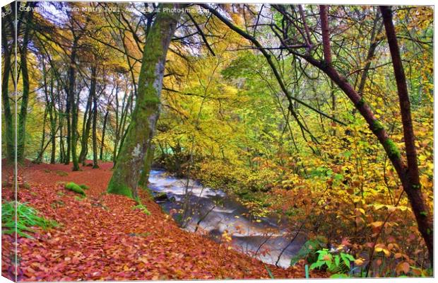 A view of the Birks of Aberfeldy in Autumn Canvas Print by Navin Mistry