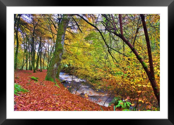 A view of the Birks of Aberfeldy in Autumn Framed Mounted Print by Navin Mistry