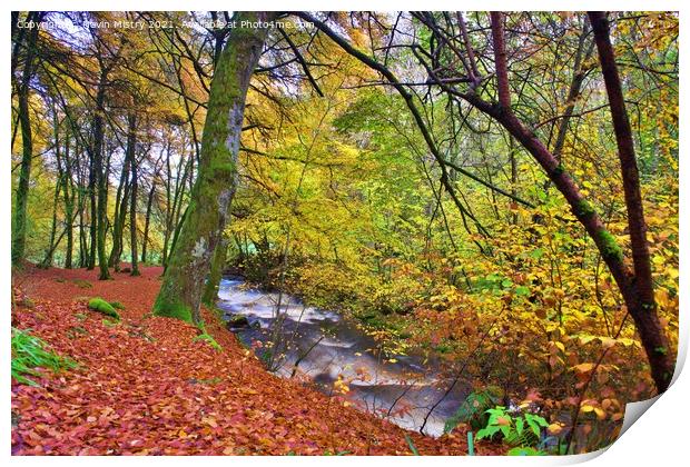 A view of the Birks of Aberfeldy in Autumn Print by Navin Mistry