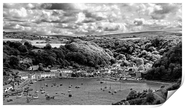 Looking  down on Lower Fishguard Harbour Print by Joyce Storey
