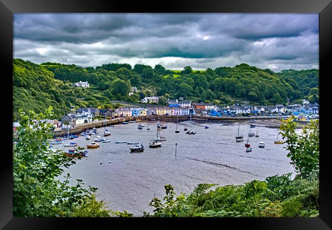 From the path above Lower Fishguard Framed Print by Joyce Storey
