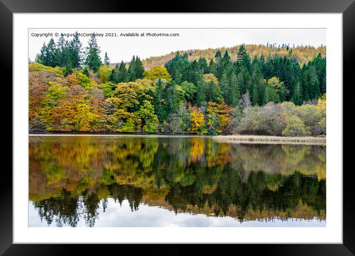 Autumn colours on Loch Faskally, Perthshire Framed Mounted Print by Angus McComiskey