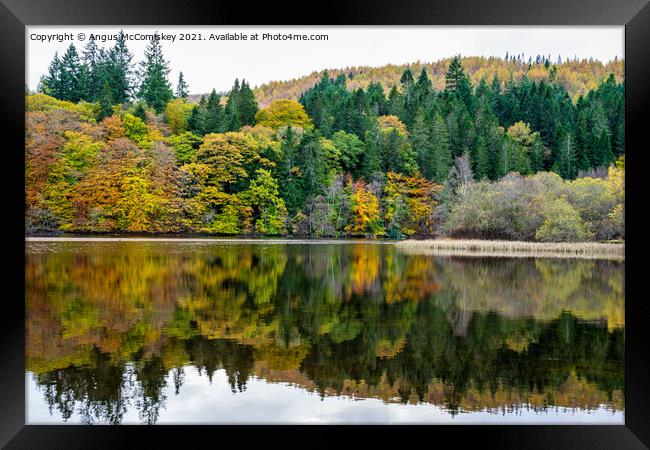 Autumn colours on Loch Faskally, Perthshire Framed Print by Angus McComiskey