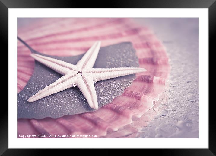 Starfish Framed Mounted Print by