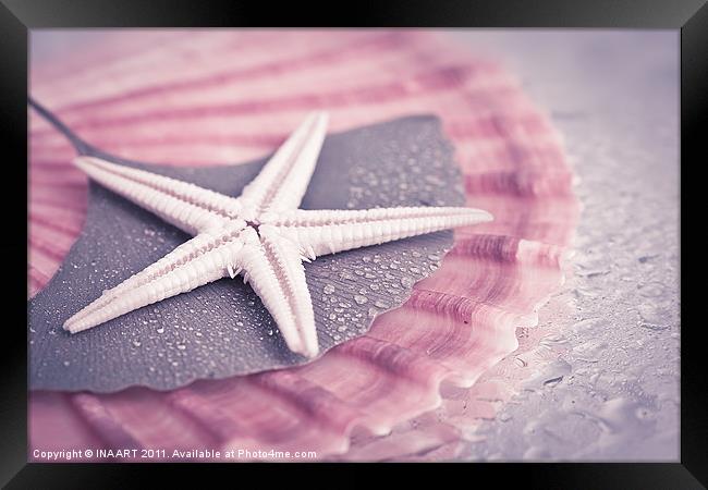 Starfish Framed Print by