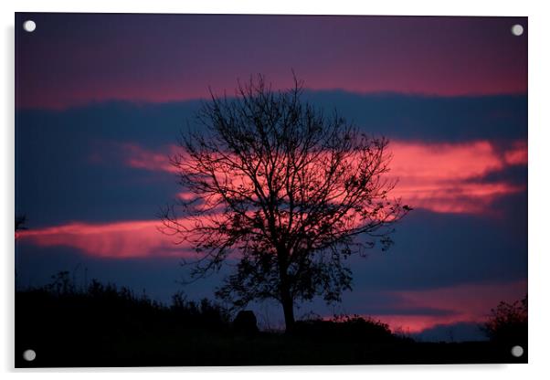 Sky , sunrise cloud  Acrylic by Simon Johnson