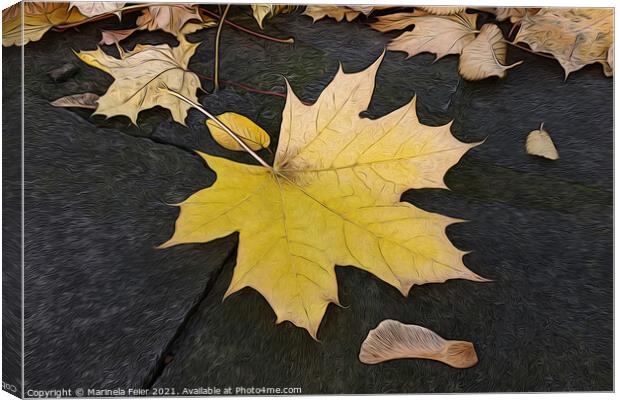 Leaves on sidewalk Canvas Print by Marinela Feier
