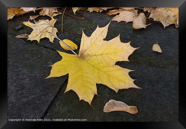 Leaves on sidewalk Framed Print by Marinela Feier