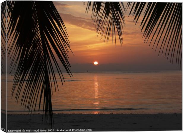 Sunrise Palm Leaves Canvas Print by Mehmood Neky